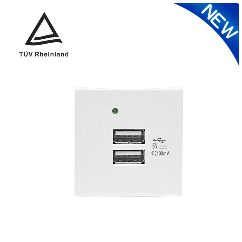 Modular Socket Dual Port Type A+A 21W (total) USB Charger F21-C3