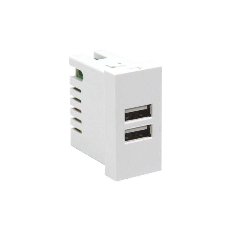Dual Port Type A+A 10.5W (total) F21-C2A