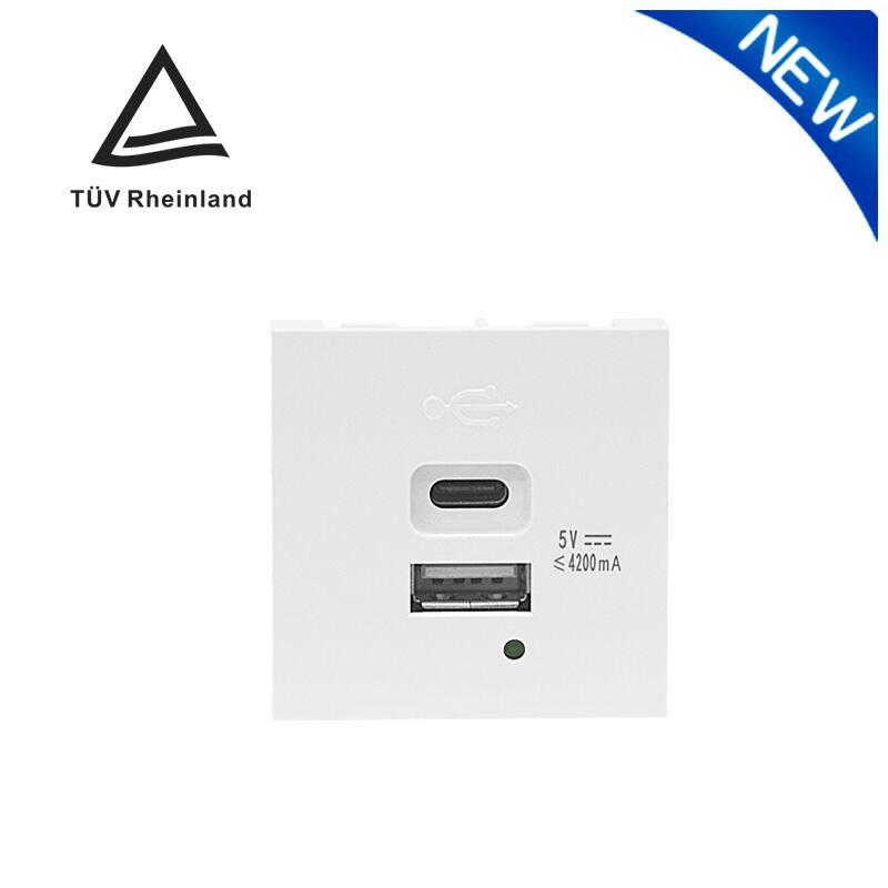 Modular Socket Dual Port Type A+C 21W (total) USB Charger F21-C6