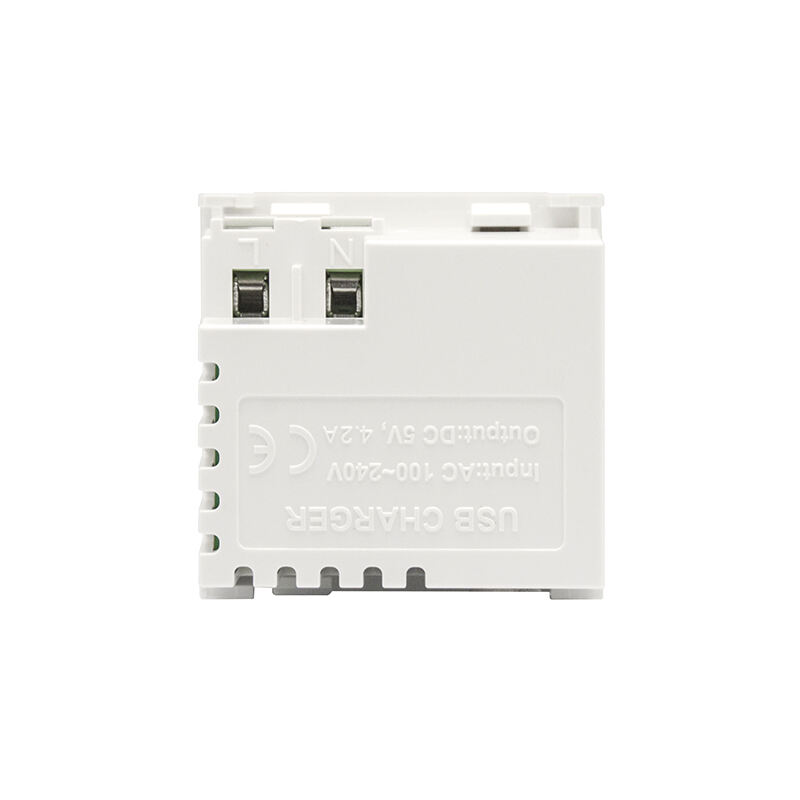 Modular Socket Dual Port Type A+A 21W (total) USB Charger F21-C3 4.2A