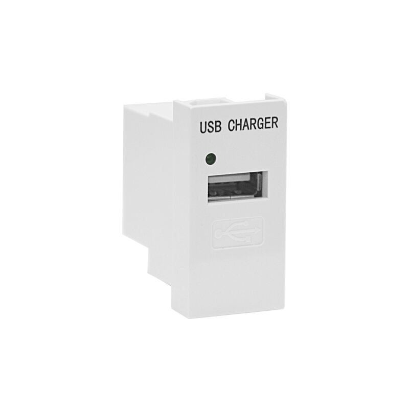 Modular Socket Single Port Type A 5W USB Charger F21-C2