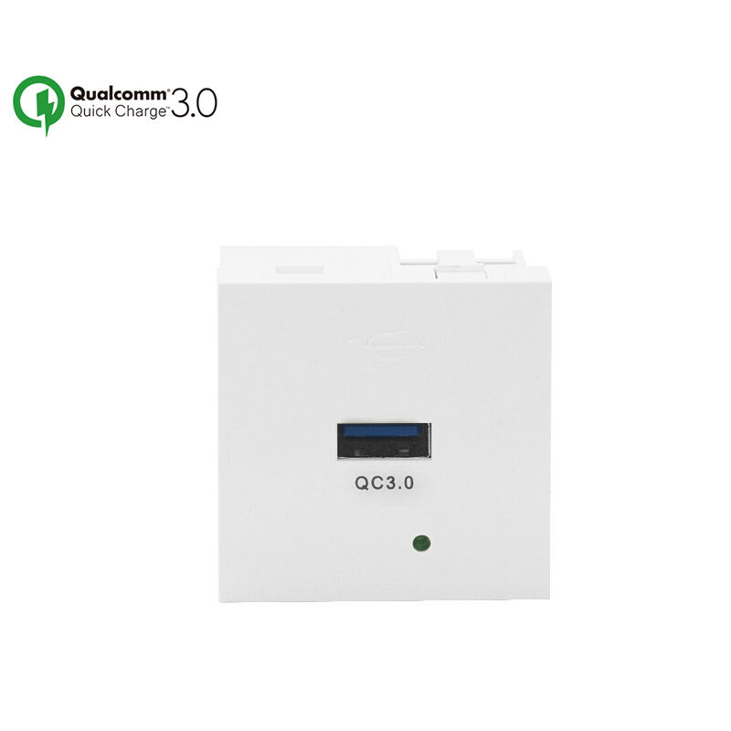 Modular Socket Single Port Type A 18W QC3.0 USB Charger F21-QC1