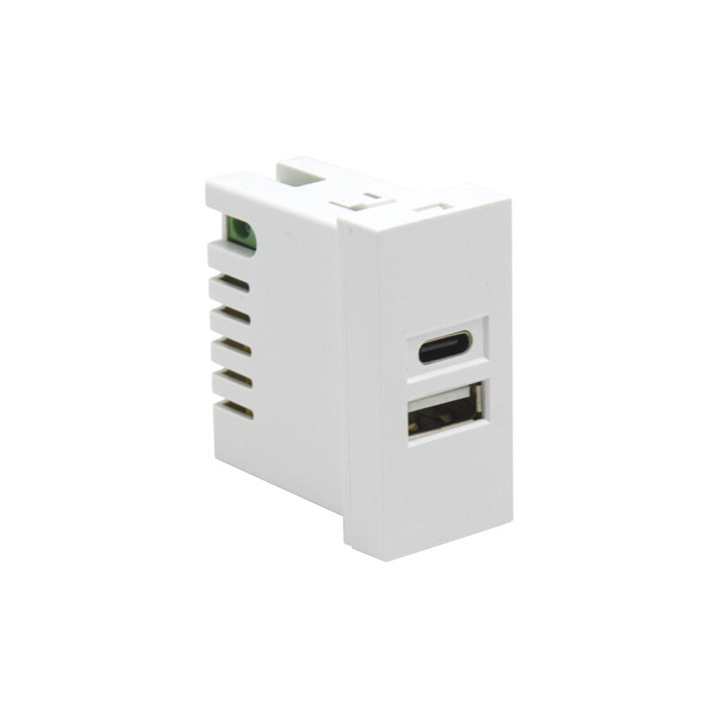 Dual Port Type A+C 10.5W (total) F21-C2B