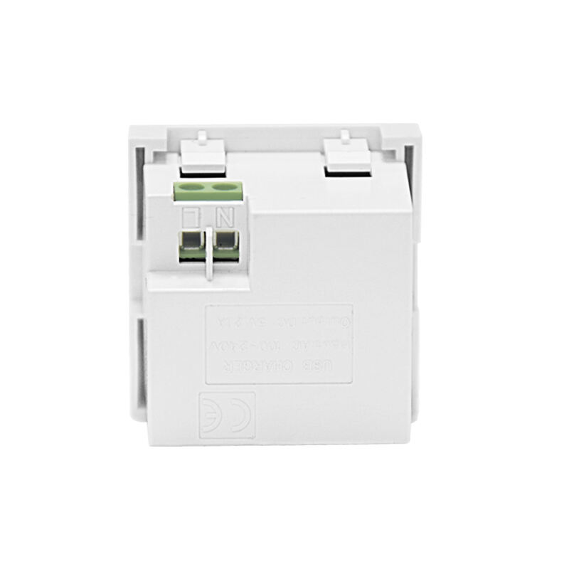 Modular Socket Dual Port Type A+A 21W (total) USB Charger F21-C3